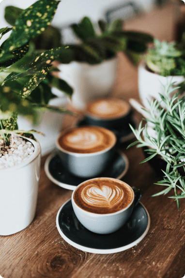 cafes e plantas