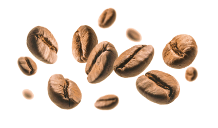 graos de cafe